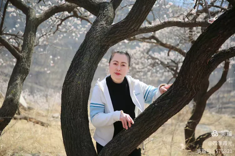 走进泉子杏花林(二)